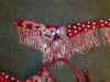 gurtel2.jpg (69295 Byte)