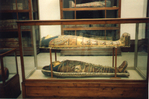Mumie im Ägyptischen Museum